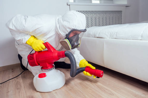 Best Ant Control Services  in Forestville, OH