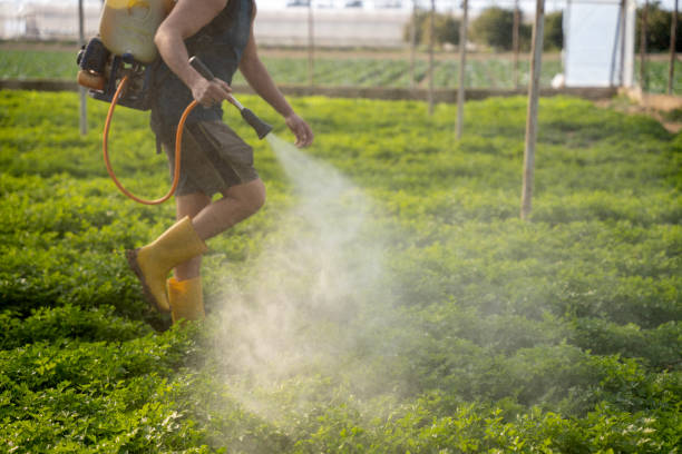Best Local Pest Control Services  in Forestville, OH