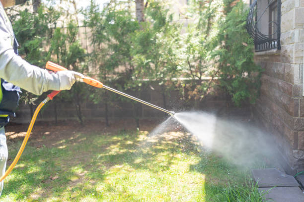 Best Spider Control Near Me  in Forestville, OH