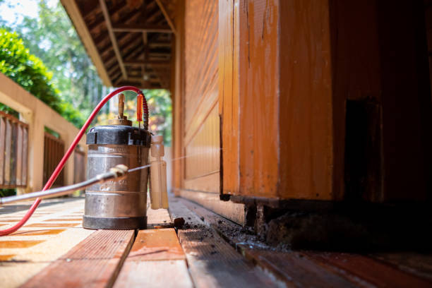 Best Ant Control Services  in Forestville, OH