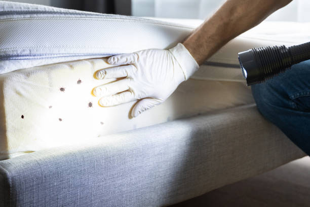 Best Commercial Pest Control Services  in Forestville, OH