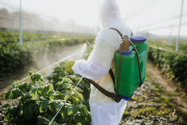 Best Pest Prevention Services  in Forestville, OH